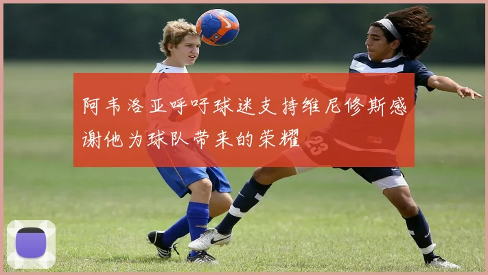 阿韦洛亚呼吁球迷支持维尼修斯感谢他为球队带来的荣耀