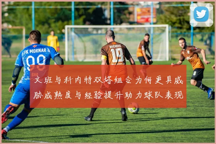 文班与科内特双塔组合为何更具威胁成熟度与经验提升助力球队表现