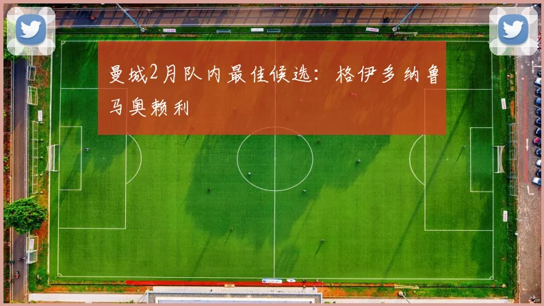 曼城2月队内最佳候选：格伊多纳鲁马奥赖利