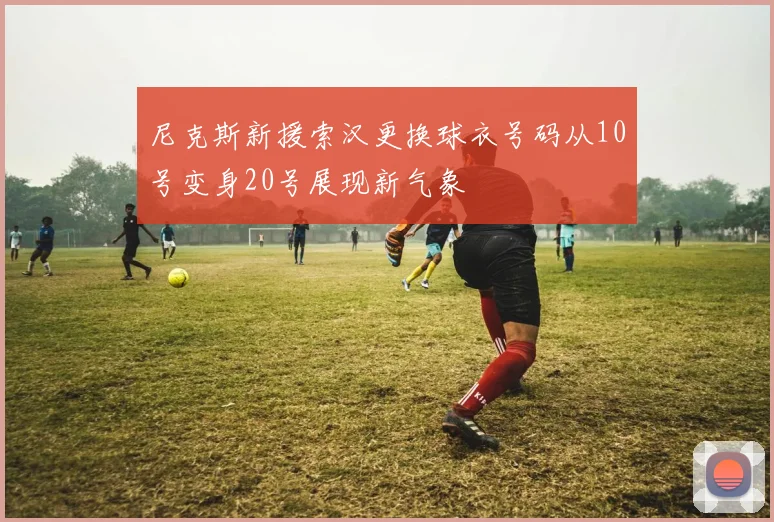尼克斯新援索汉更换球衣号码从10号变身20号展现新气象