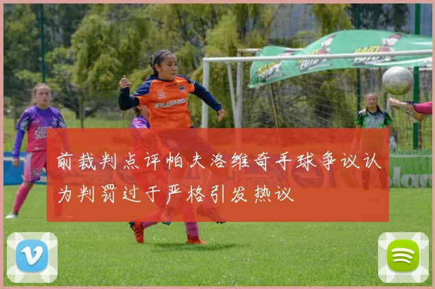 前裁判点评帕夫洛维奇手球争议认为判罚过于严格引发热议