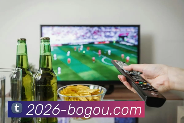 多媒体互动体验